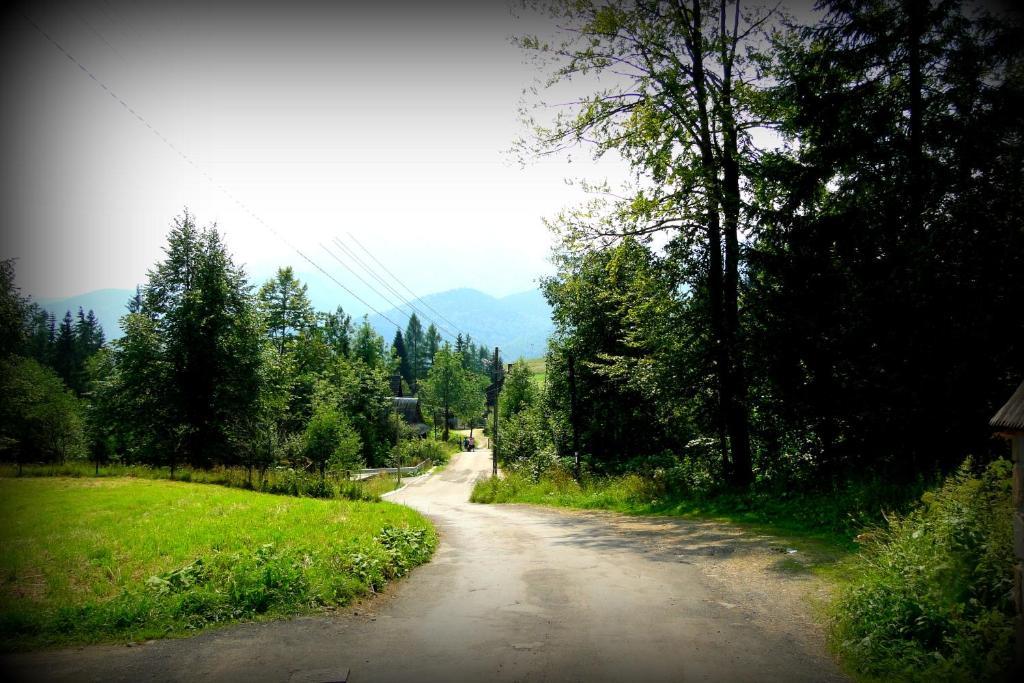 Willa Widokowa Zakopane Bagian luar foto